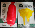 北蔬 香菜種子苗大葉芫荽耐熱四季蔬菜種籽 大葉香菜種子20g約2000粒 曬單實(shí)拍圖