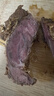 恒都 國產(chǎn)谷飼原切牛腱子 5斤 不含腱子芯 生鮮牛肉 源頭直發(fā) 曬單實(shí)拍圖