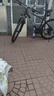 喜德盛山地自行車(chē)黑客500 X6鋁合金車(chē)架27.5大輪徑 油壓碟剎24速變速 深灰/白17(身高170-185） 曬單實(shí)拍圖