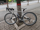 百琦公路自行車R2變速自行車內(nèi)置智能定位系統(tǒng)數(shù)顯碼表自行車油壓碟剎 格雷灰 S（建議身高168-175cm） 曬單實拍圖