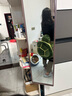 振奮滑雪護具小烏龜護臀屁墊防摔裝備全套裝單雙板防摔護具成人男女 護臀+護膝 曬單實(shí)拍圖