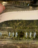 柯必達青苔蘚鮮活苔蘚微景觀(guān)植物盆景盆栽水陸缸假山草造景材料白 短絨蘚(15*8)cm 5盒 曬單實(shí)拍圖