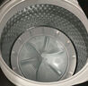 美的（Midea）波輪洗衣機(jī)全自動家用 MB100V36DT 10公斤  直驅(qū)變頻 健康除螨 全域抗菌 一級能效 以舊換新 曬單實(shí)拍圖