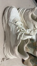 安踏小千禧丨休閑鞋女鞋革面防潑水復(fù)古增高厚底軟底冬季老爹鞋運(yùn)動(dòng)鞋 【革面】粗麻灰/白堊色/胡桃-13 38 曬單實(shí)拍圖