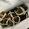 【活蟹】乾澄大閘蟹現(xiàn)貨 全母2.3-2.6兩8只 六月黃鮮活螃蟹去繩足重海鮮禮盒裝源頭直發(fā) 曬單實(shí)拍圖