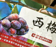 庾豐當(dāng)季新鮮現(xiàn)摘西梅 新鮮水果整箱 孕婦藍蜜法蘭西梅 團購送禮 5斤裝（凈果4.5斤）甄選果王 顆顆甄選 產(chǎn)地直發(fā) 曬單實拍圖