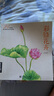 經(jīng)典全集《彩鉛花卉》彩色鉛筆繪畫(huà)入門(mén)教程書(shū)籍臨摹零基礎初學(xué)者成人溫情樂(lè )鳥(niǎo)手繪插畫(huà)多肉人物古風(fēng)兒童教材 曬單實(shí)拍圖