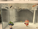 森森（SUNSUN）超白魚(yú)缸一體缸自循環(huán)客廳桌面小型家用水族箱HEJ-380 曬單實(shí)拍圖