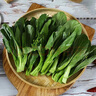  【高原夏菜】菜心苗250g(長度≤15cm)  曬單實(shí)拍圖