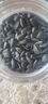 開(kāi)元小油葵瓜子鸚鵡零食磨牙糧食金絲熊飼料鳥(niǎo)食黑珍珠瓜籽虎皮玄鳳 曬單實(shí)拍圖
