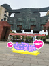 kocotreekk樹(shù)兒童太陽(yáng)鏡柔軟鏡腿男童女童偏光潮流墨鏡防紫外線(xiàn)太陽(yáng)眼鏡 曬單實(shí)拍圖