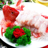 鱘食 海捕東星斑魚(yú) 鮮活冷凍石斑魚(yú)生鮮魚(yú)類(lèi)節日送禮佳品 海捕東星斑 凈重700-800g/條【推薦】 曬單實(shí)拍圖