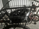 自行車(chē)后車(chē)筐山地車(chē)籃筐子折疊車(chē)后置籃子放書(shū)包架單車(chē)后籃加大車(chē)簍 車(chē)筐不帶蓋+貨架 曬單實(shí)拍圖