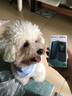 NOKIA新105 4G 全網(wǎng)通移動(dòng)聯(lián)通電信 老人老年按鍵直板學(xué)生兒童備用戒網(wǎng)手機(jī) 雙卡雙待  黑色 曬單實(shí)拍圖