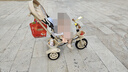 兒童三輪車寶寶嬰兒手推車幼兒腳踏車1-3-5歲小孩童車自行車 香檳色 鈦空輪 全蓬款 曬單實(shí)拍圖