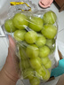 【產(chǎn)地直采】陽(yáng)光玫瑰青提 1.5kg 單果8g起 曬單實(shí)拍圖