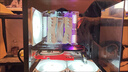 【95新保核心】七彩虹等一線品牌/1660S/2060S/3060TI/3070電腦游戲獨(dú)立顯卡 95新非礦卡 RTX 2060S 8G 曬單實(shí)拍圖