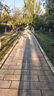 iGearU型鎖摩托車(chē)雙開(kāi)玻璃門(mén)鎖自行車(chē)C級鎖芯防撬防盜抗液壓剪電瓶車(chē)鎖 曬單實(shí)拍圖