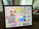 Apple/蘋果 iPad Pro13英寸M4芯片 2024年新款平板電腦(512G WLAN版/MVX43CH/A)深空黑色 曬單實拍圖