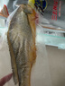 三都港 冷凍三去大黃魚凈重2斤/2條裝 寧德黃花魚 生鮮魚類 燒烤 曬單實拍圖