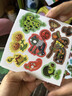 酷迪象植物大戰僵尸磁力安靜書(shū)玩具雜交版兒童手工六一禮物男童 【磁力款】植物僵尸雜交版大尺寸 曬單實(shí)拍圖