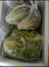 綠食者 新鮮球生菜500g 漢堡用西生菜西餐三明治沙拉蔬菜健康輕食食材 曬單實拍圖