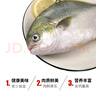 環(huán)球水產(chǎn)冷凍南海金鯧魚2斤/2條 生鮮魚類 火鍋 深海魚 海鮮水產(chǎn) 家庭聚餐 曬單實(shí)拍圖
