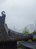 康比特（CPT）分離乳清蛋白粉 高蛋白低脂低乳糖補(bǔ)充蛋白質(zhì)健身增肌蛋白粉 【新品】分離乳清蛋白 1.65磅青提綠茶味 曬單實拍圖
