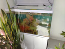 天寶魚(yú)缸帶柜子客廳家用中小型懶人免換水玻璃金魚(yú)缸整套水族箱帶氧氣 820標配+柜子+大禮包 曬單實(shí)拍圖