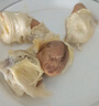 馬貓馬來(lái)西亞貓山王榴蓮 生鮮水果液氮冷凍保鮮樹(shù)熟帶殼榴蓮D197整個(gè) 2.2斤-2.6斤（保三房 嘗鮮體驗） 曬單實(shí)拍圖