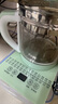 半球（PESKOE）養生壺燒水壺熱水壺恒溫壺煮茶壺泡茶壺一體玻璃全自動(dòng)小家用多功能辦公室大容量1.8L綠色 綠色 1.8L 半球養生壺 曬單實(shí)拍圖