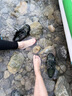 靠森溯溪鞋沙灘鞋戶(hù)外涉水鞋男游泳趕海沙灘襪水陸兩棲防滑防扎傷 【38-39】 【正碼正拍】 曬單實(shí)拍圖