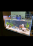吉印刀鋒s魚(yú)缸燈led燈防水全光譜魚(yú)缸照明燈水草燈小型超白魚(yú)燈56cm 曬單實(shí)拍圖