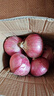 京鮮生 河南紫紅皮洋蔥凈重5斤單果200g+ 現(xiàn)挖新鮮蔬菜 源頭直發(fā)包郵 曬單實(shí)拍圖