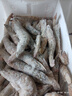鮮享純【青島蝦】超大蝦新鮮大蝦冷凍鮮活青島大蝦批發(fā)整箱基圍蝦青蝦 15-17厘米鮮蝦速凍 3斤(凈重) 曬單實(shí)拍圖