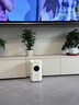 飛立藍氧除甲醛空氣凈化器負離子甲醛數顯新房家用除異味辦公室二手煙霧吸灰塵 專(zhuān)業(yè)新房除甲醛（雷達感應） 曬單實(shí)拍圖