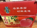 迭果陜西咸陽(yáng)旬邑馬欄紅蘋(píng)果紅富士鮮果優(yōu)質(zhì)紅蘋(píng)果農產(chǎn)品現摘 10斤 80-85mm 曬單實(shí)拍圖