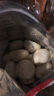 悅味紀 嵊州老面鮮肉小籠包800g 約30只 手工包子 早餐半成品 速食 曬單實拍圖