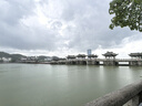 果勛新西蘭進(jìn)口超大號(hào)青口貝凈重3斤生鮮海鮮扇貝貝類燒烤原裝 曬單實(shí)拍圖