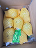 京鮮生 軟糯奶油白心芭樂(lè) 凈重2.5斤裝單果150g+ 番石榴 教師節(jié)禮物 曬單實(shí)拍圖