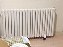 臻泊邇家用水暖取暖器注水電暖氣片加水電暖器水暖電暖氣節能省電散熱片 智能遙控-16柱【供暖15-20平】 曬單實(shí)拍圖