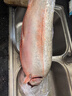 龍羊峽冰鮮國產(chǎn)青海三文魚整條大魚禮盒冷水魚生鮮高原虹鱒送禮順豐 冰鮮整魚禮盒 3.8kg （7-8斤） 曬單實拍圖