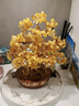 御時(shí)居純天然招財(cái)黃水晶發(fā)財(cái)樹擺件財(cái)寶樹客廳公司店鋪玄關(guān)喬遷開業(yè)送禮 財(cái)寶樹（方盤）【順豐急速發(fā)貨】 曬單實(shí)拍圖