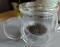 京東京造 玻璃杯 雙層玻璃茶水分離耐高溫泡茶水杯子大容量500ml 曬單實(shí)拍圖