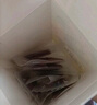 小鹿藍(lán)藍(lán) 果木烤肉脯高蛋白0淀粉炭烤風(fēng)味香嫩豬肉干 寶寶兒童零食70g  曬單實拍圖