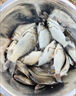 蝦肉拉餌鮮蝦秘制發(fā)酵成品拉餌釣魚(yú)蝦滑伴侶野釣黑坑正品蝦拉魚(yú)餌 鮮蝦拉餌300g*1瓶 曬單實(shí)拍圖