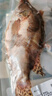 膳訊灣 臭鱖魚(yú)凈膛8-9兩*3條安徽黃山特產(chǎn)生鮮桂魚(yú)預(yù)制菜腌制 源頭直發(fā) 曬單實(shí)拍圖