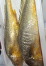 三都港 三去大黃魚(yú)凈重700g/2條裝 寧德黃花魚(yú) 生鮮 魚(yú)類(lèi) 中秋 曬單實(shí)拍圖
