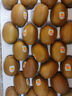 佳沛（zespri）新西蘭  陽(yáng)光金果25-27粒原箱單果122-146g  中秋水果禮盒 獼猴桃 曬單實(shí)拍圖