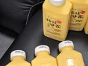 馬小泰の楊枝甘露港式甜品超多椰果西米露芒果乳味飲品350ml*6瓶輕享裝 曬單實(shí)拍圖